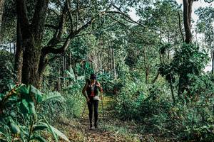 BIB: 
                            <button type="button" onclick="openModal(25660617)" class="btn btn-primary btn-sm float-right btn-popup" data-toggle="modal" data-target=".modal-high-quality">
                        <i class="fas fa-shopping-cart"></i> Add to Cart
                    </button>
                                            <button type="button" onclick="isThisMe(25660617, true)" class="btn btn-success btn-sm float-right btn-popup btn-isme hidden" data-toggle="tooltip" data-placement="bottom" title="นี่คือรูปของคุณใช่ไหม คลิกที่นี่เพื่อเอาเข้าอัลบั้ม">
                        <i class="fas fa-plus"></i> Add to album
                    </button>
                    <button type="button" onclick="isThisMe(25660617, false)" class="btn btn-warning btn-sm float-right btn-popup btn-isnotme hidden">
                        <i class="fas fa-ban"></i> Remove from album
                    </button>